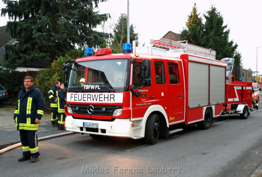 Saureaustritt Koeln Loevenich Daimlerstr P273.JPG